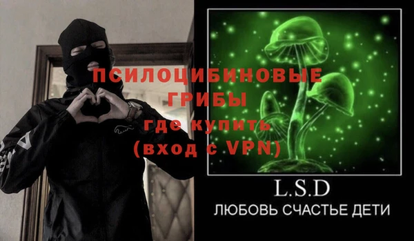 spice Новозыбков