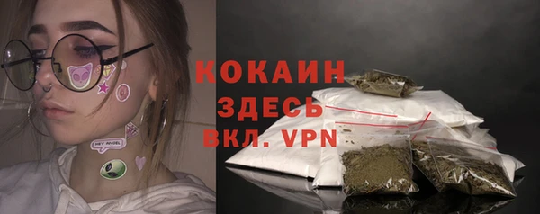 spice Новозыбков