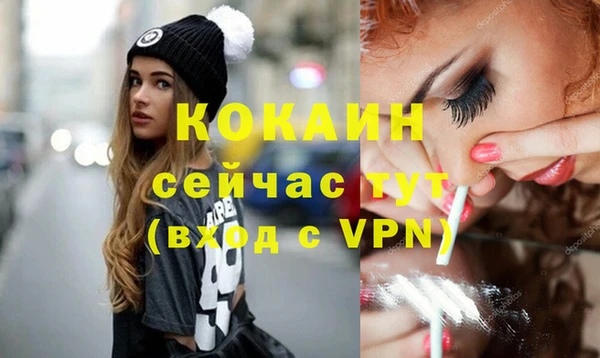 spice Новозыбков