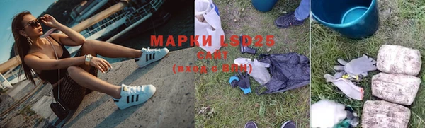 ГАЛЛЮЦИНОГЕННЫЕ ГРИБЫ Новодвинск