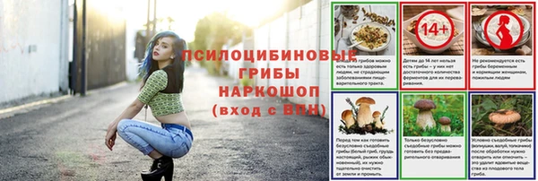 spice Новозыбков